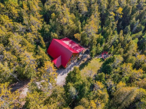 Forest Cabin By National Park & Tobermory